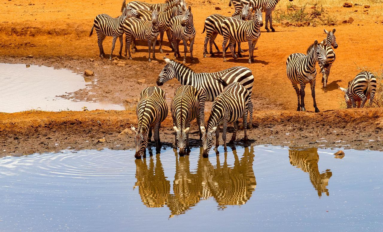 2 Days 1 Nights Amboseli National Park