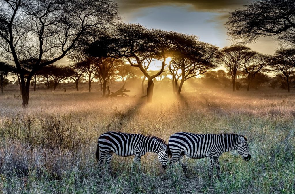 3- Day Masai Mara Flying Safari