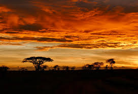 3- Day Masai Mara Flying Safari