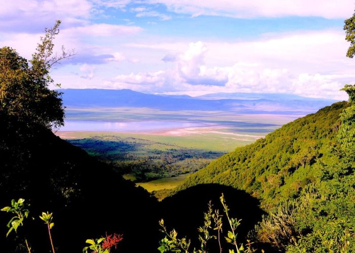 3 - Day Taste Of Tanzania Safari