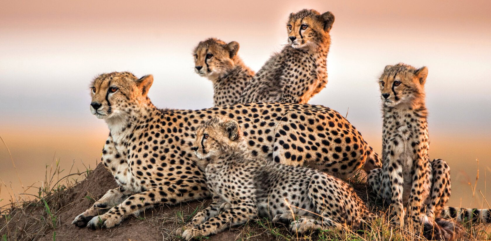 3 Days Group Joining Masai Mara Christmas Bush Holiday 2026