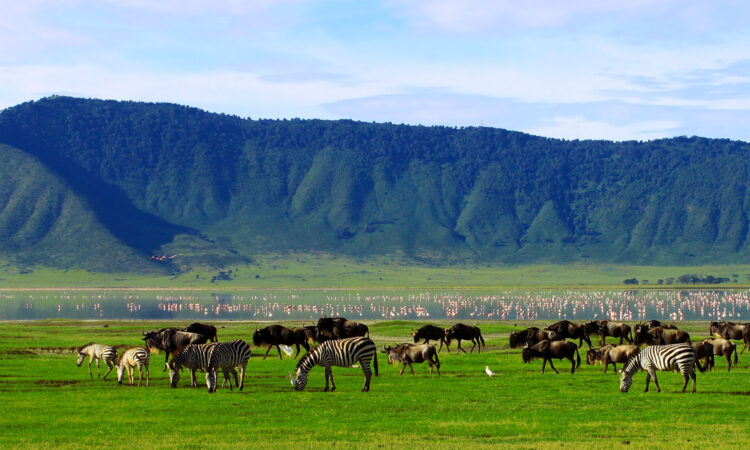 4- Day Mid-Range Tanzania Wilderness Safari