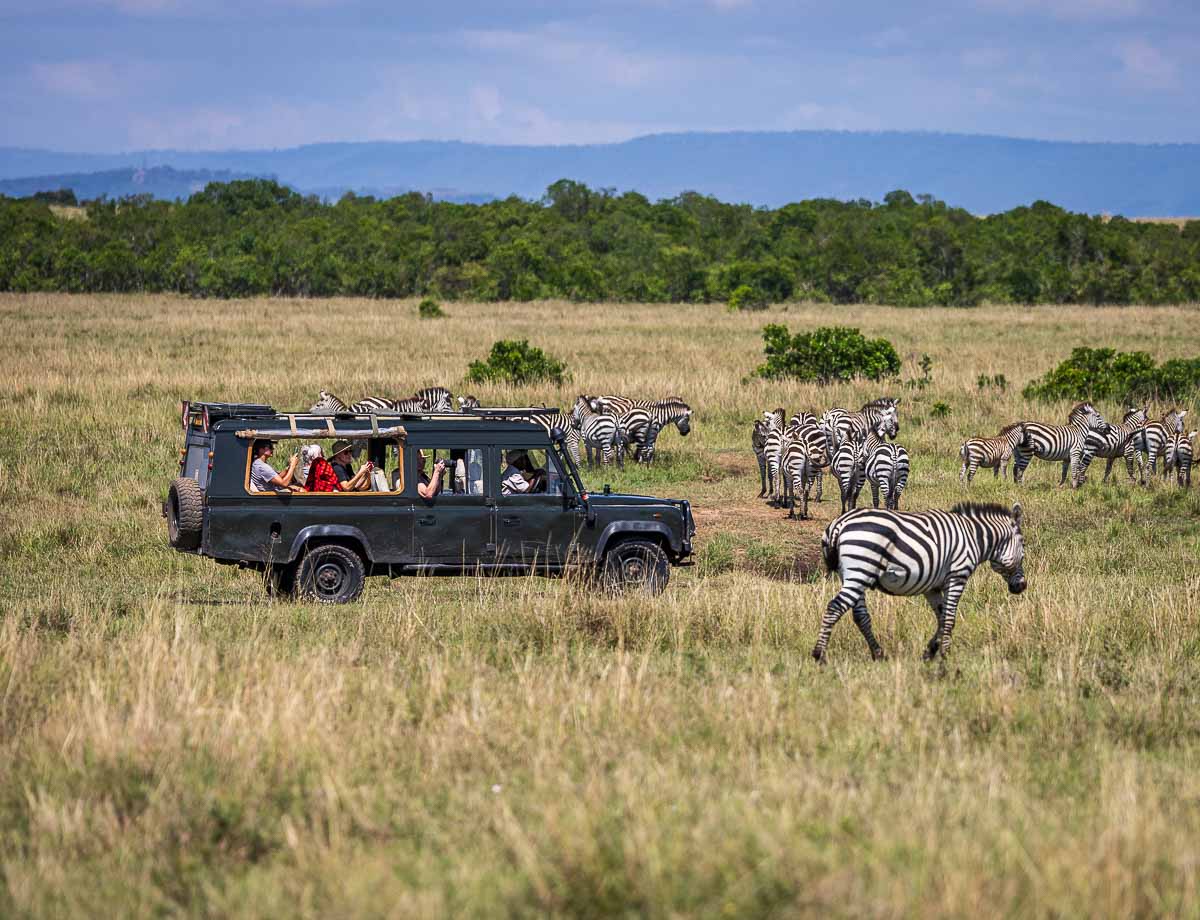 4 Day Serengeti Safari Game Package