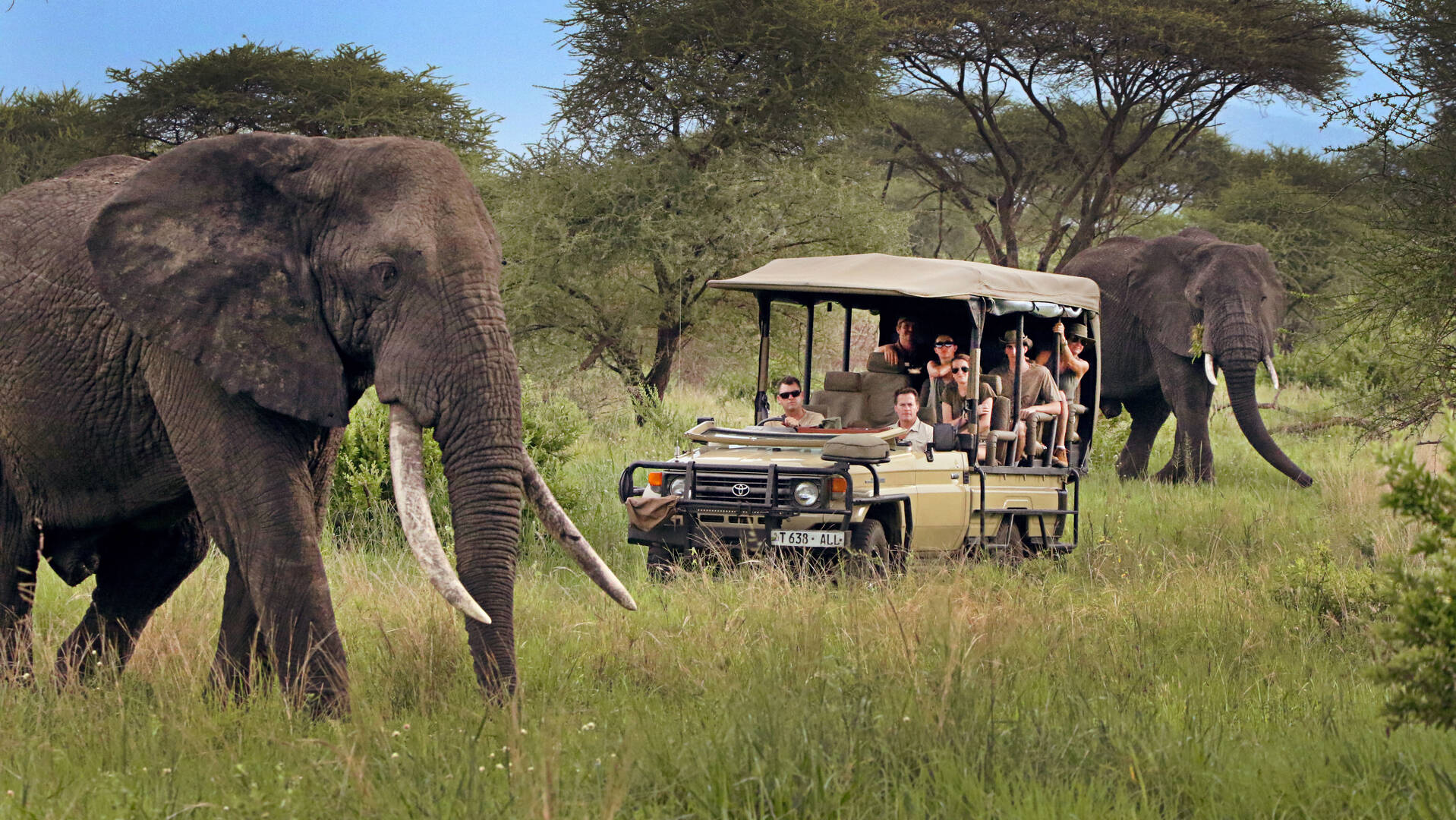 5 Day Mid- Luxury Best Of Tanzania Safari