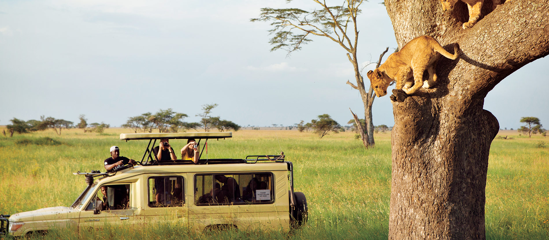 5 Day Mid- Luxury Best Of Tanzania Safari