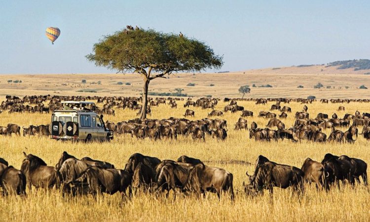 5 Days Kenya : A Beautiful Road Trip