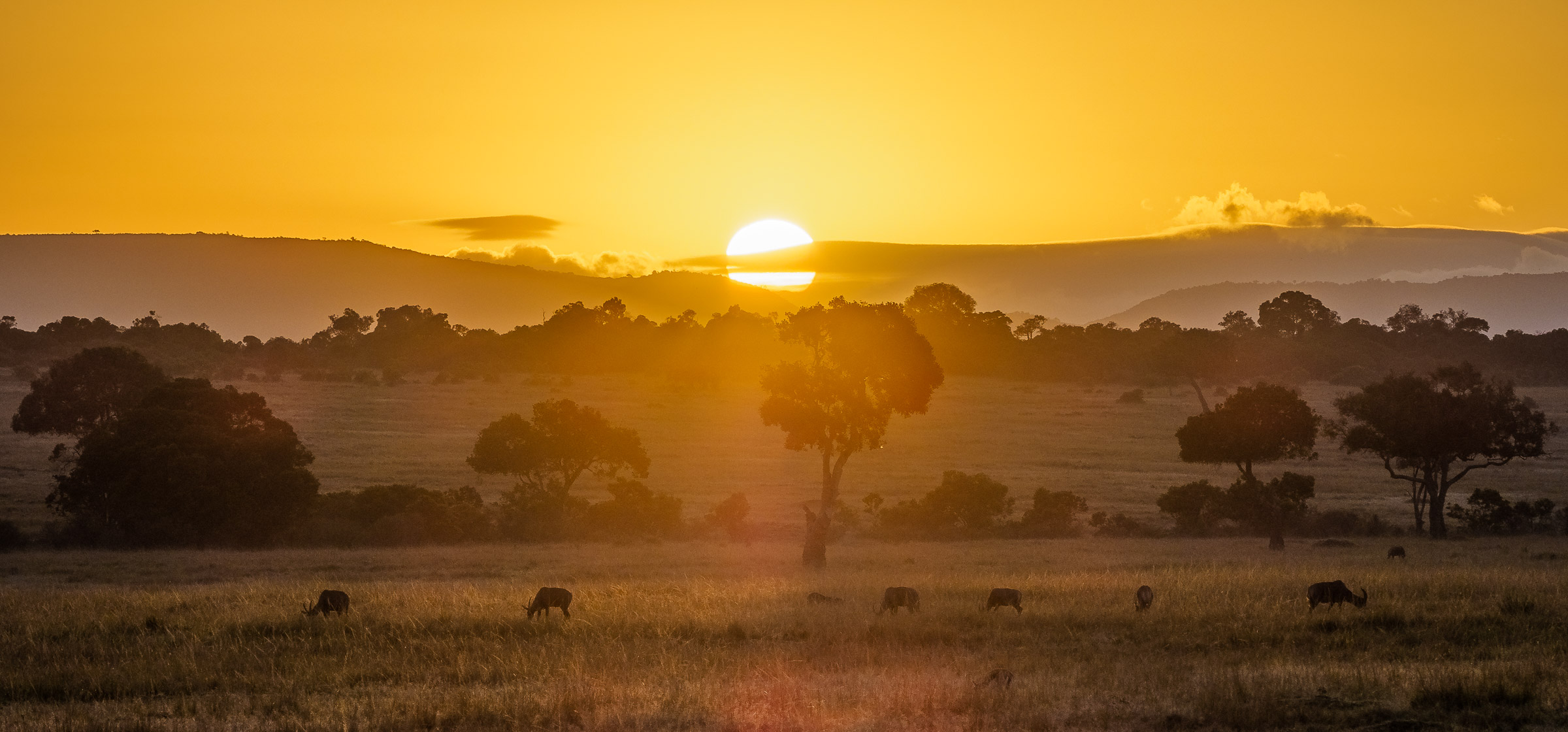 5 Days Masai Mara Flying Package