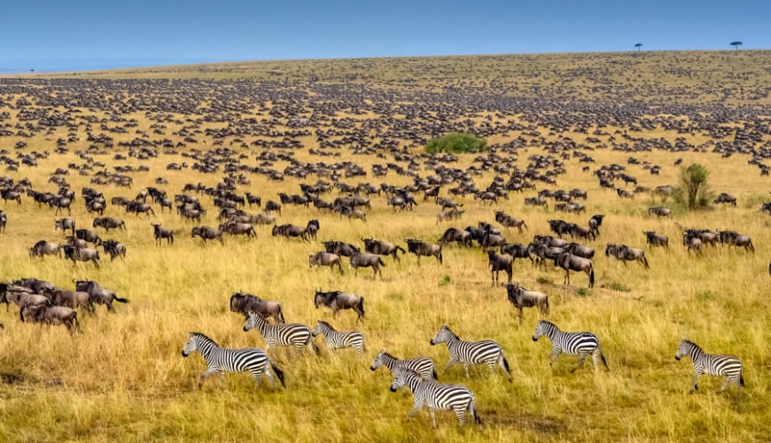 5 Days Ultimate Kenya Safari Experience
