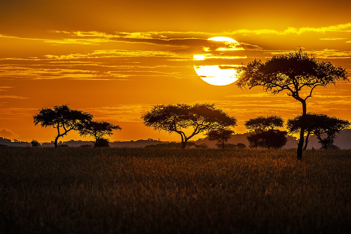 6 -Day Luxury Highlight Of Tanzania Safari