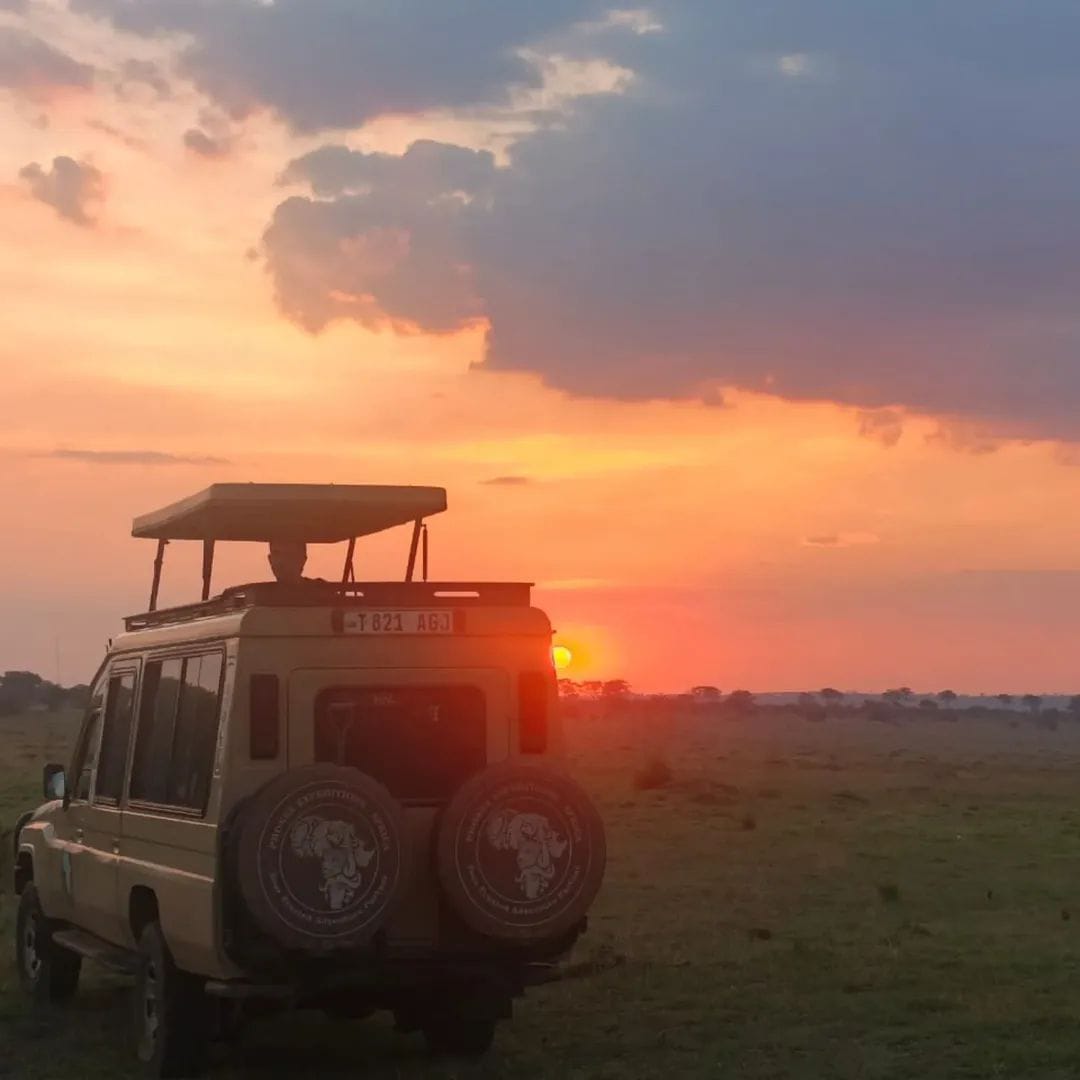 6 -Day Mid Range Highlights Of Tanzania Safari
