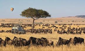 6 Days Kenya Family Safari Experience