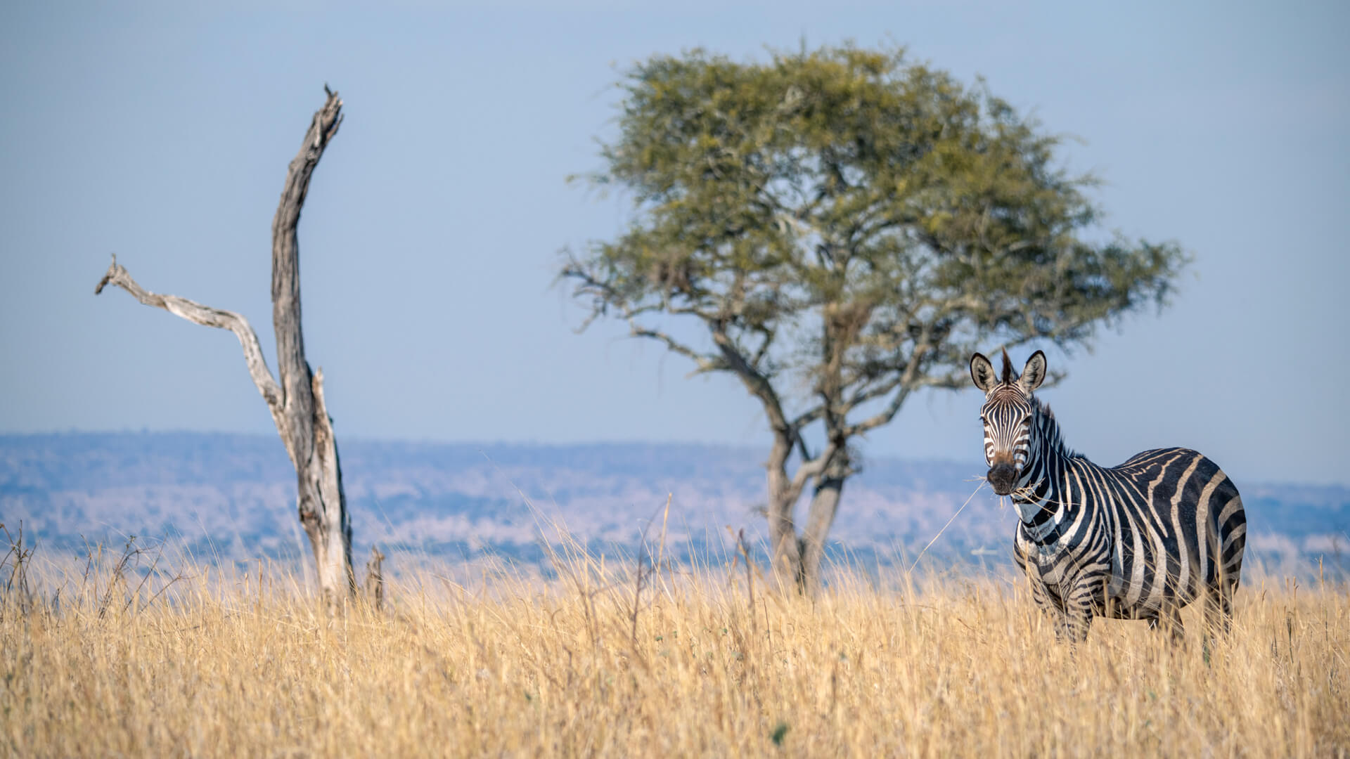 6 Days- Kenya Safari Experience