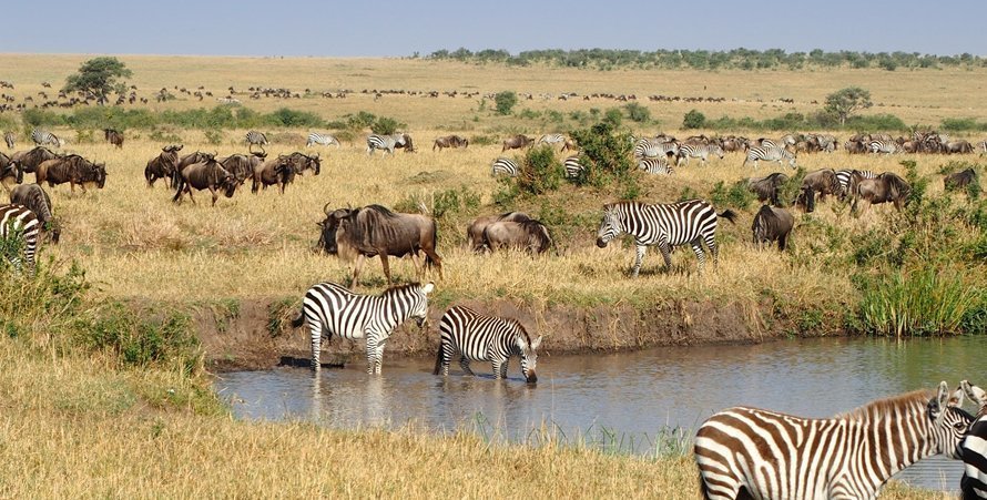 6 Days- Kenya Safari Experience
