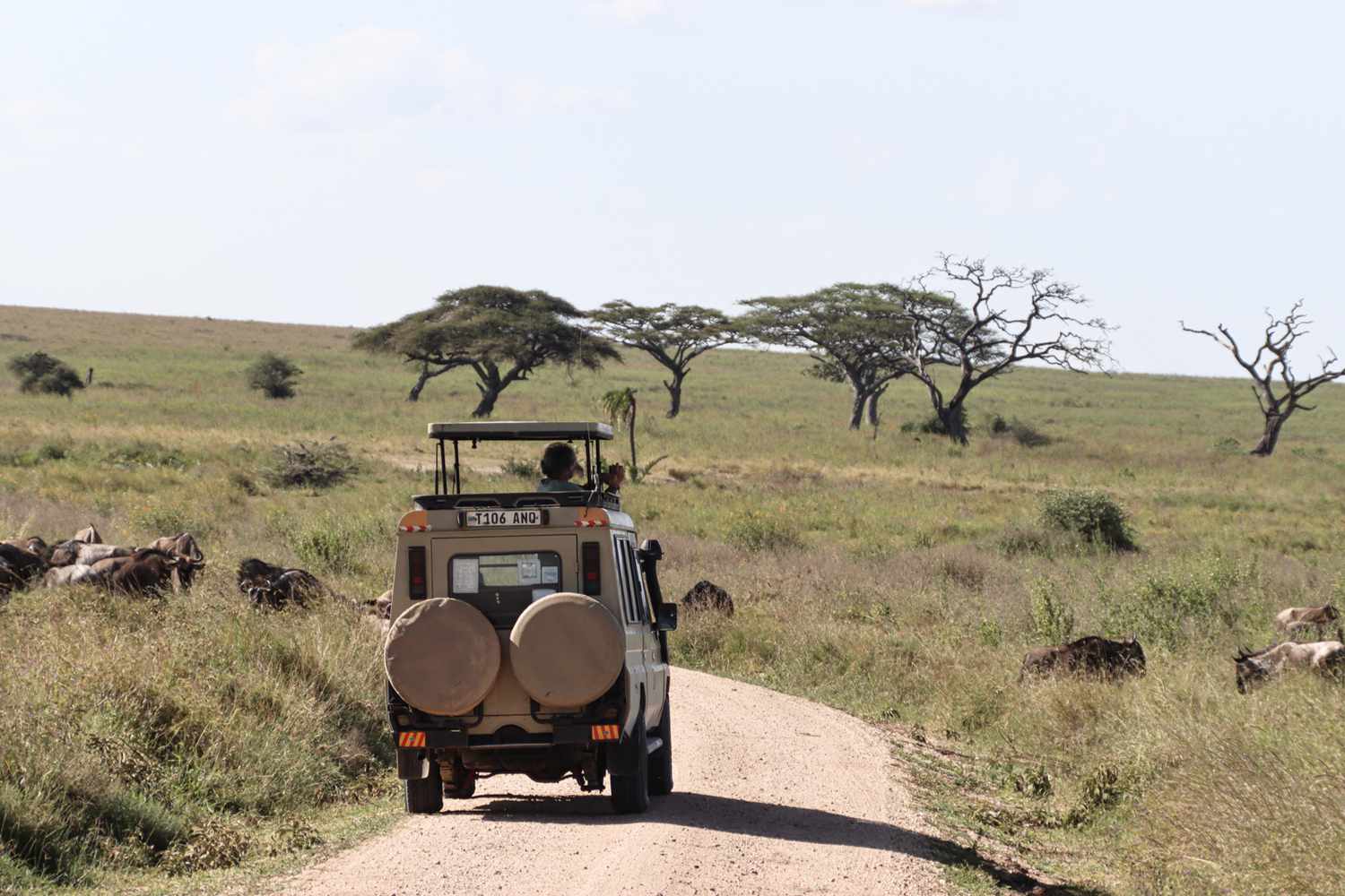 6 Days Tanzania Migration Safari