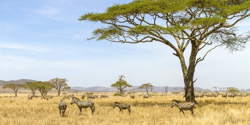 7- Day Mid- Range Epic Adventure ( Serengeti 3 Nights)
