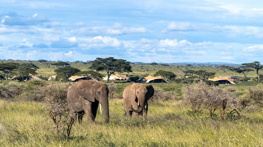 7- Day Mid- Range Epic Adventure ( Serengeti 3 Nights)