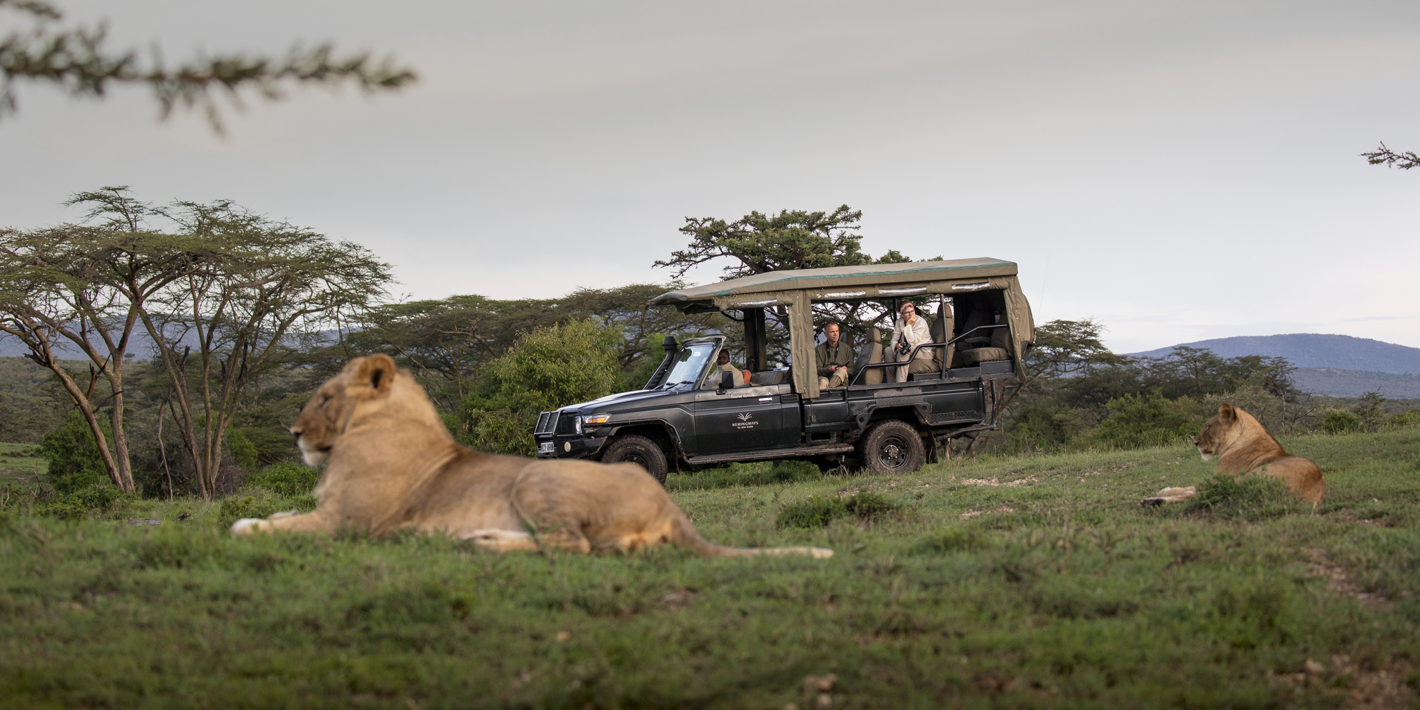 8 Days Luxury Kenya Safari & Beach