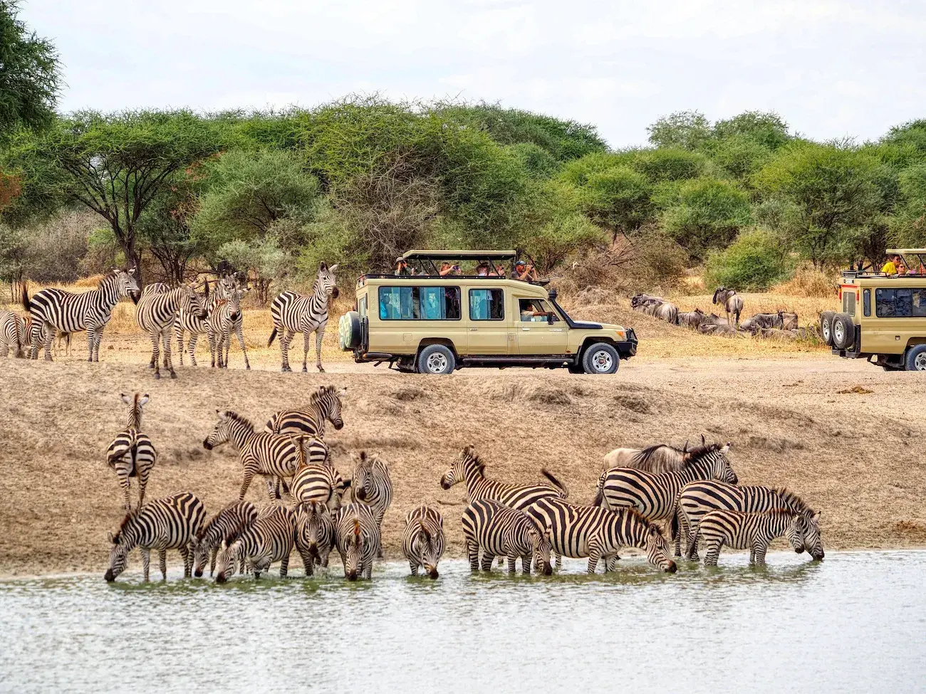 Discover The Unexpected - 7 Days Tanzania Wilderness Safari