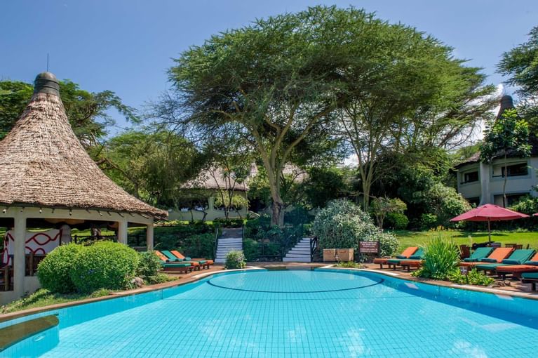 Discover The Unexpected - 7 Days Tanzania Wilderness Safari